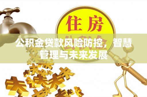 平谷公积金贷款风险防控，智慧管理与未来发展
