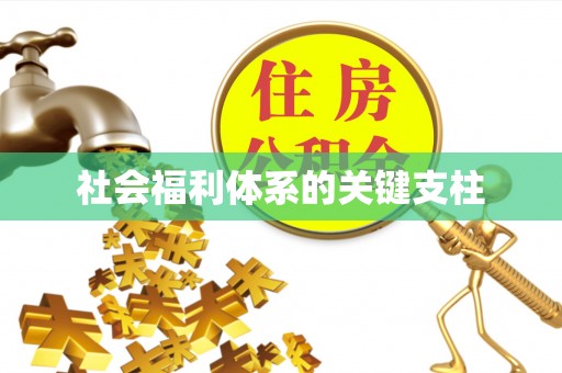 平谷社会福利体系的关键支柱