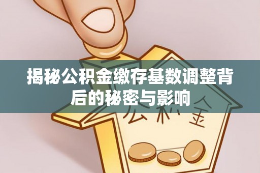 平谷揭秘公积金缴存基数调整背后的秘密与影响